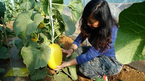 带你吃瓜蜜罐,揭秘网络社交新趋势