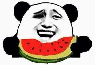 快乐吃瓜的吃瓜群众,揭秘吃瓜群众的欢乐生活