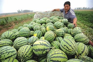 高合汽车吃瓜事件黑料吃瓜,揭秘背后的黑料风云
