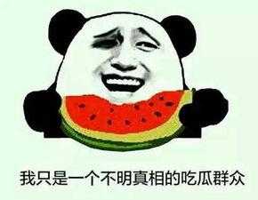 安安只想安心吃瓜,只愿安心吃瓜，远离纷扰