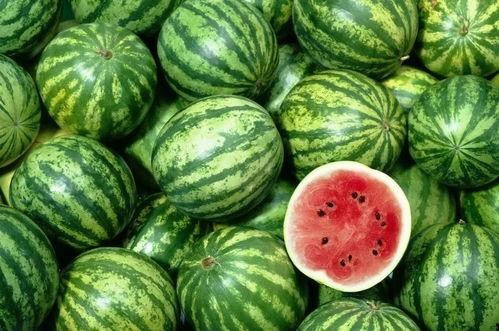 在海边吃瓜图片,共享瓜果乐