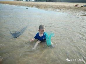 在海边吃瓜图片,共享瓜果乐