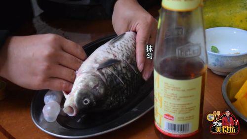 猫吃鲫瓜鱼,揭秘猫儿钟爱的鲫瓜鱼之谜