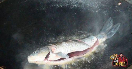 猫吃鲫瓜鱼,揭秘猫儿钟爱的鲫瓜鱼之谜