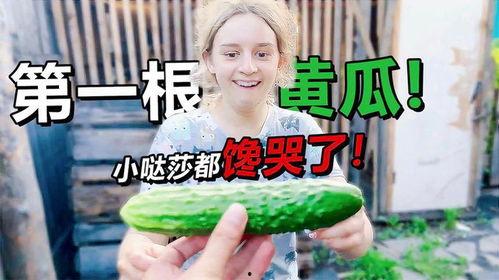 Russia妈妈 吃瓜,揭秘俄罗斯家庭生活点滴