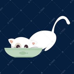 夏日吃瓜猫猫图,跟随猫猫一起享受吃瓜时光