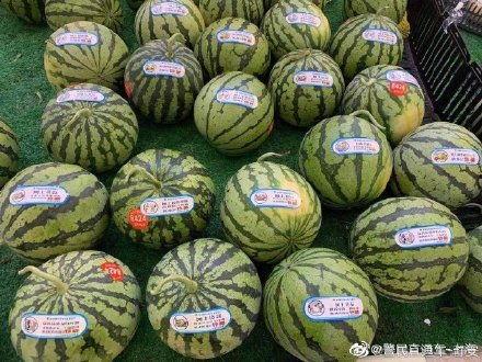 反吃瓜同盟,捍卫网络清朗，共建和谐网络空间