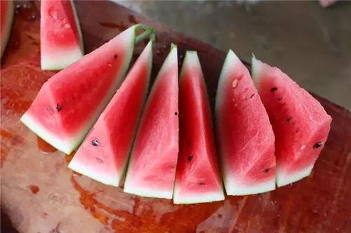 长沙吃瓜群,揭秘城市生活圈的热辣话题与趣味瞬间