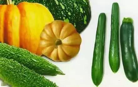 专吃大瓜,专吃大瓜，带你领略明星幕后故事