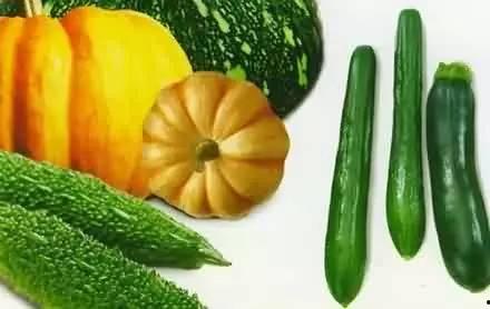 夏日应该吃瓜还是吃瓜子,瓜果飘香还是瓜子香脆？