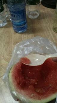 仓鼠吃瓜吃皮,瓜皮也能成为美味佳肴