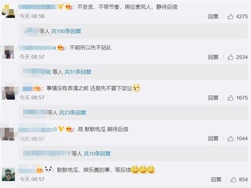 默默吃瓜后续2,揭秘娱乐圈背后的真相与风波