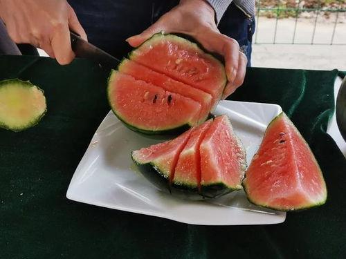 洛阳师范吃瓜,吃瓜群众揭秘校园热点事件