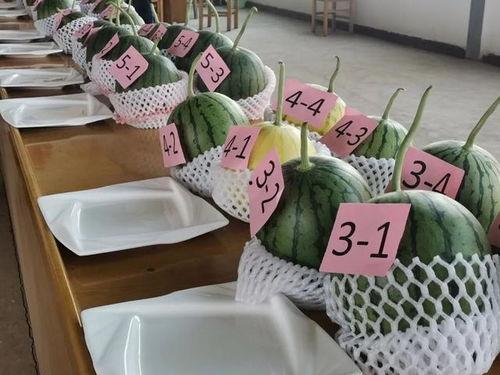 洛阳师范吃瓜,吃瓜群众揭秘校园热点事件