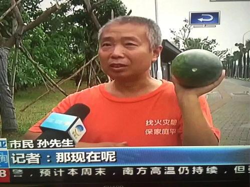 女性吃瓜热门事件,揭秘网络热门事件的背后真相