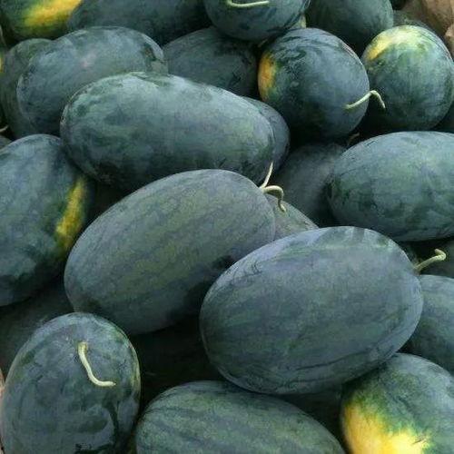 北大 吃瓜,揭秘校园热点背后的真相与反思