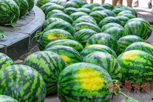 北大 吃瓜,揭秘校园热点背后的真相与反思