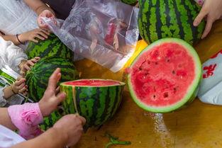 吃瓜视频原创,带你领略网络热点背后的故事