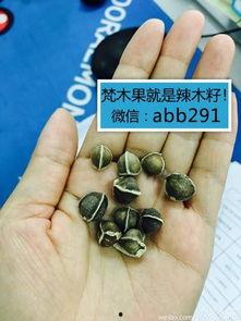 吃蜜瓜吃籽拉肚子