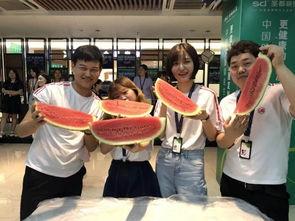 公司举办吃瓜大赛,公司吃瓜大赛欢乐上演，趣味横生！”