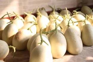 清早吃瓜,揭秘娱乐圈最新热点