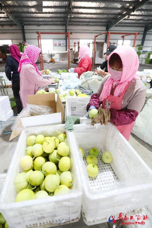 莱西吃瓜视频,揭秘网络红人幕后生活