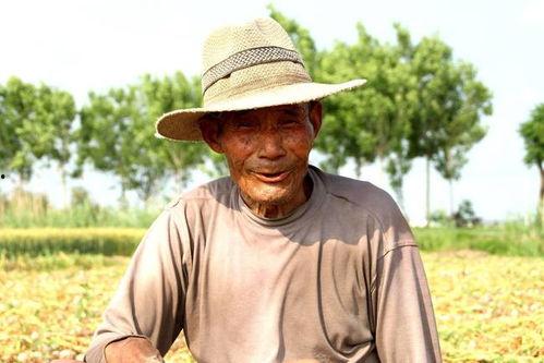 吃瓜老郑,揭秘娱乐圈那些不为人知的幕后故事