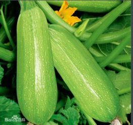 文安吃瓜咋回事,真相与背后故事