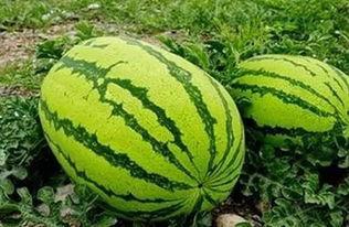 罗思东吃瓜,揭秘娱乐圈背后的那些事儿