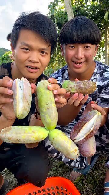 吃八月瓜给别人吃,传递甜蜜，共享自然馈赠