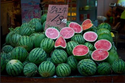 上海大学吃瓜,吃瓜群众眼中的校园美食盛宴