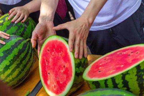 上海大学吃瓜,吃瓜群众眼中的校园美食盛宴
