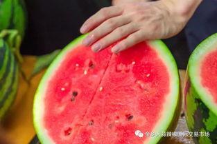 上海大学吃瓜,吃瓜群众眼中的校园美食盛宴