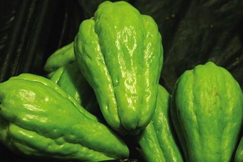 吃合掌瓜,探寻大自然的馈赠与味蕾的盛宴