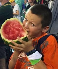 澳洲吃瓜打架,吃瓜群众与激情打架的冲突现场