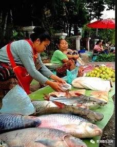 犀鸟吃瓜的图片