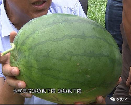 某佳在线吃瓜,揭秘娱乐圈幕后真相