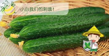 某佳在线吃瓜,揭秘娱乐圈幕后真相