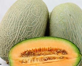 经常吃哈密瓜有好处吗,健康生活新选择