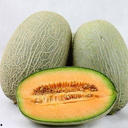 经常吃哈密瓜有好处吗,健康生活新选择