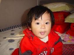 小蕊蕊吃瓜,小蕊蕊的瓜田奇遇记