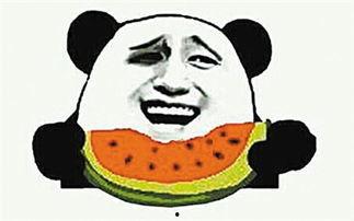 瓜子吃不吃瓜,吃不吃瓜的趣味探讨