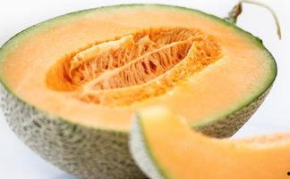 吃哈密瓜舌头辛辣,揭秘辛辣背后的秘密