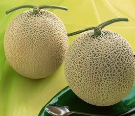 吃哈密瓜舌头辛辣,揭秘辛辣背后的秘密