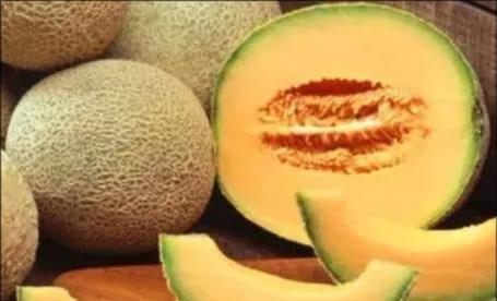 在哈密吃哈密瓜