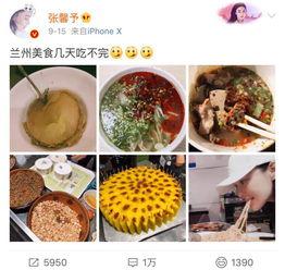 吃瓜群众何捷,揭秘娱乐圈背后的真实故事