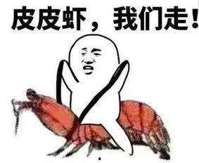 吃瓜群什么套路,揭秘网络社交的暗流涌动