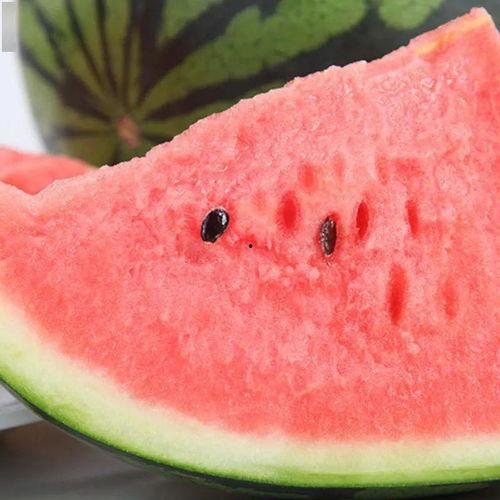 吃瓜泗水,一场美食与文化的盛宴