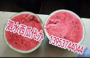 吃瓜泗水,一场美食与文化的盛宴