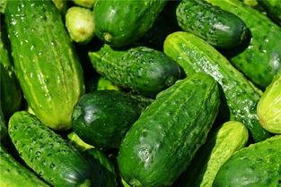 梦到自己挖到瓜吃,揭秘挖瓜吃梦的神秘寓意